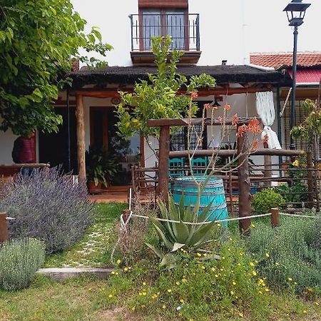 Jardines Del Acebron Pensionat El Rocío Eksteriør billede