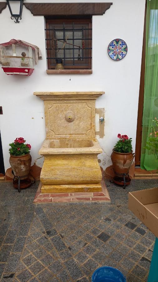 Jardines Del Acebron Pensionat El Rocío Eksteriør billede