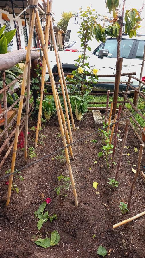 Jardines Del Acebron Pensionat El Rocío Eksteriør billede