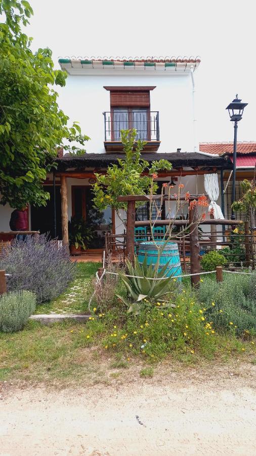 Jardines Del Acebron Pensionat El Rocío Eksteriør billede